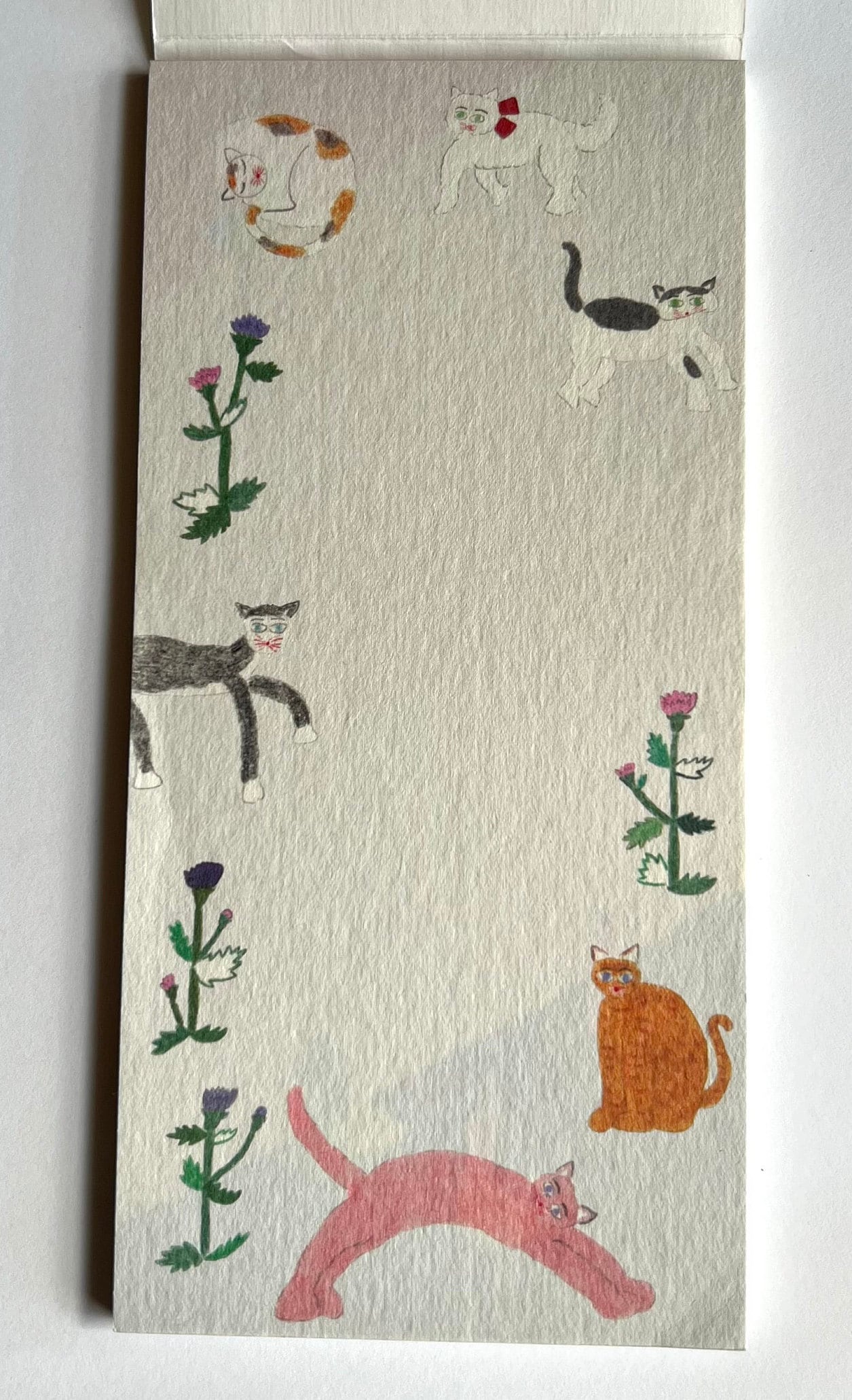 Notepad, Long, My Favourite Things