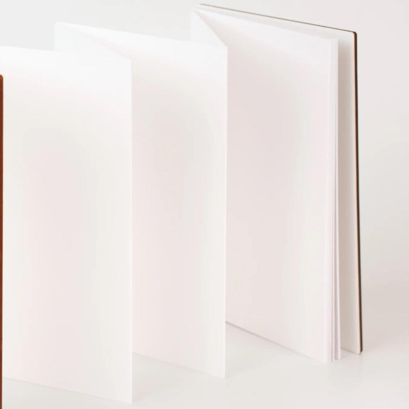 Goshuin Chou (Book Of Seals), Temple/Shrine in Autumn