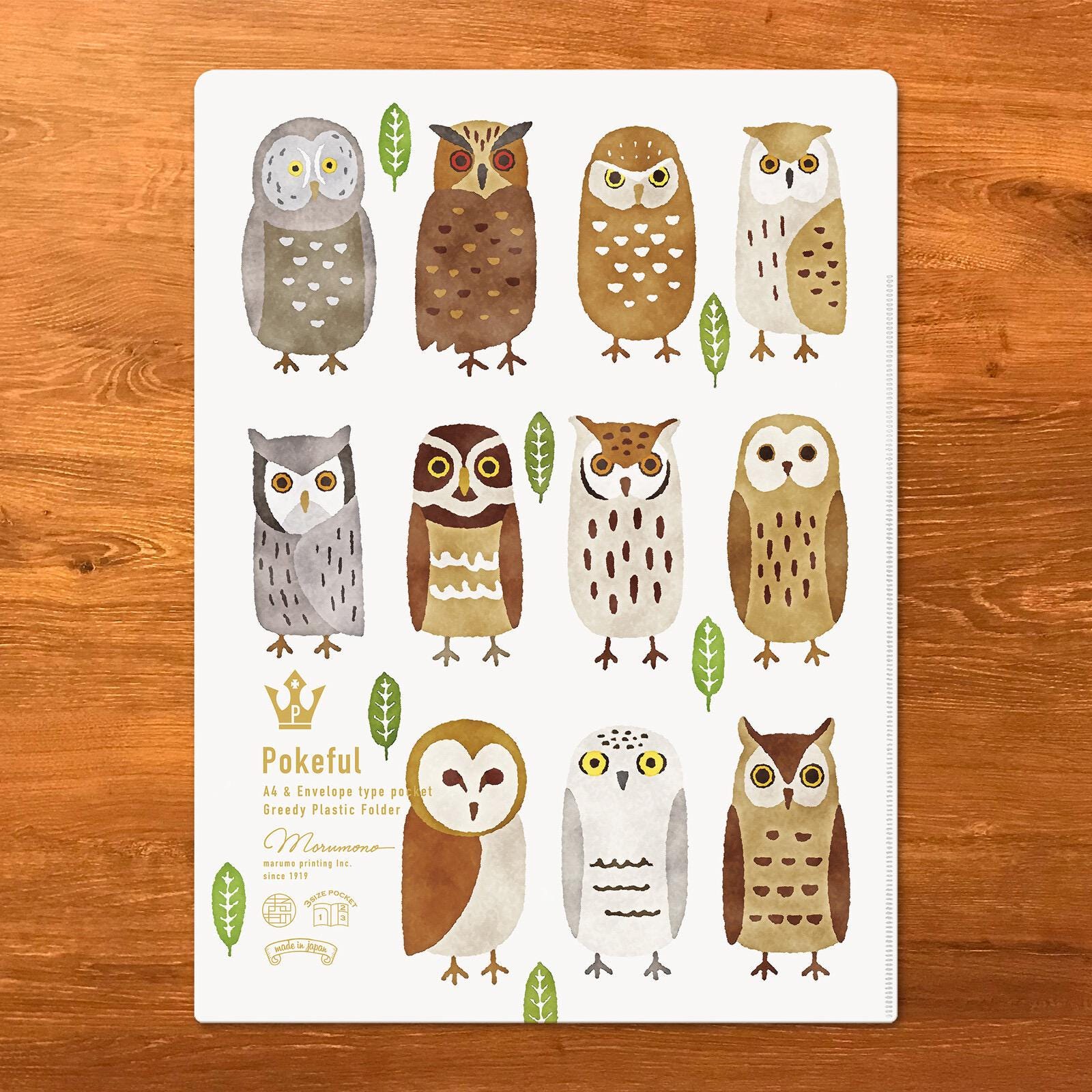 Clear File, A4, Owls - Scents of Japan