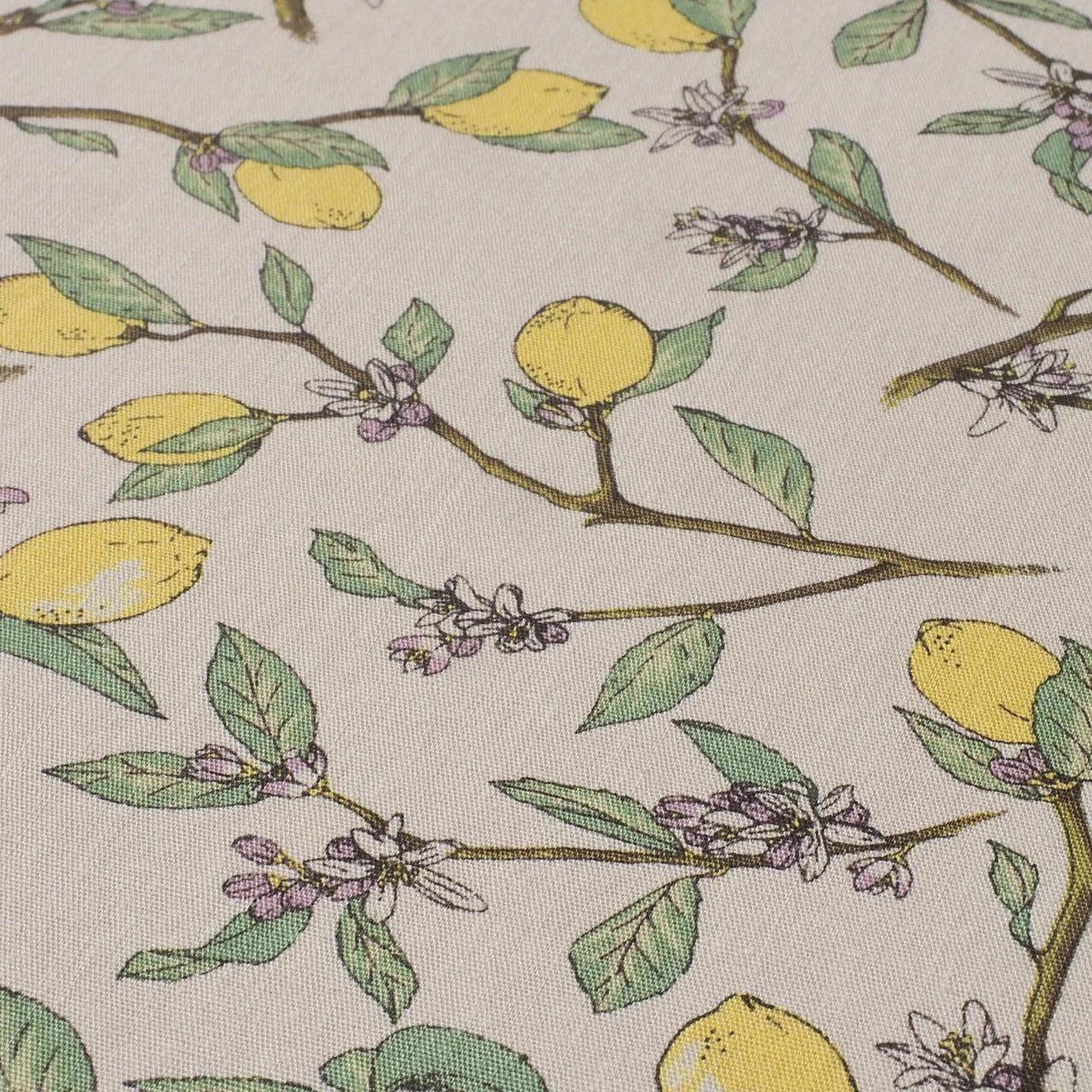 Goshuin Holder (Spread Size), Lemons