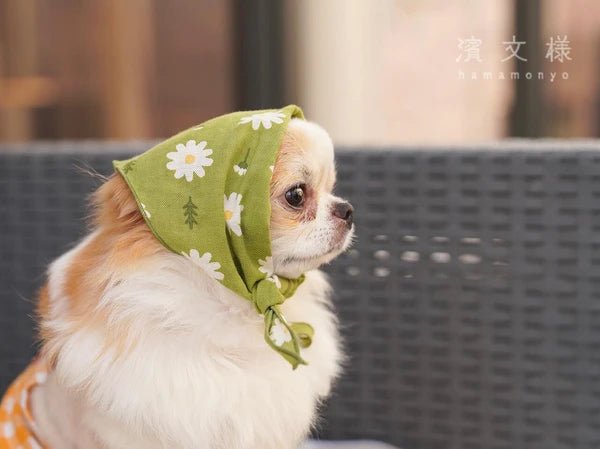 Japanese Pet Bandana, Dog & Cat, Happy Daisy - Scents of Japan