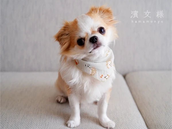Japanese Pet Bandana, Dog & Cat, Hedgehogs - Scents of Japan