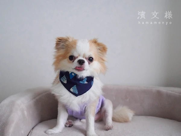 Japanese Pet Bandana, Dog & Cat, Mt Fuji - Scents of Japan